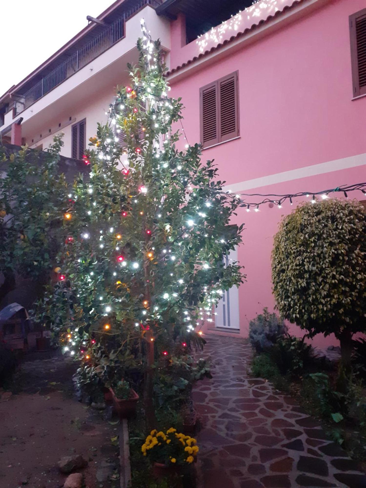 L'Agrifoglio Di Emy Bed & Breakfast Гуспини Екстериор снимка